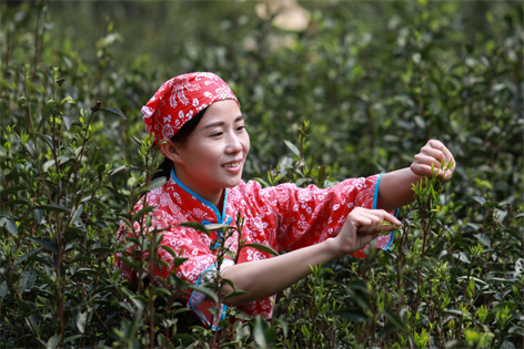 2022年“全國十佳農(nóng)民”揭曉 全國勞模石濡菲上榜！