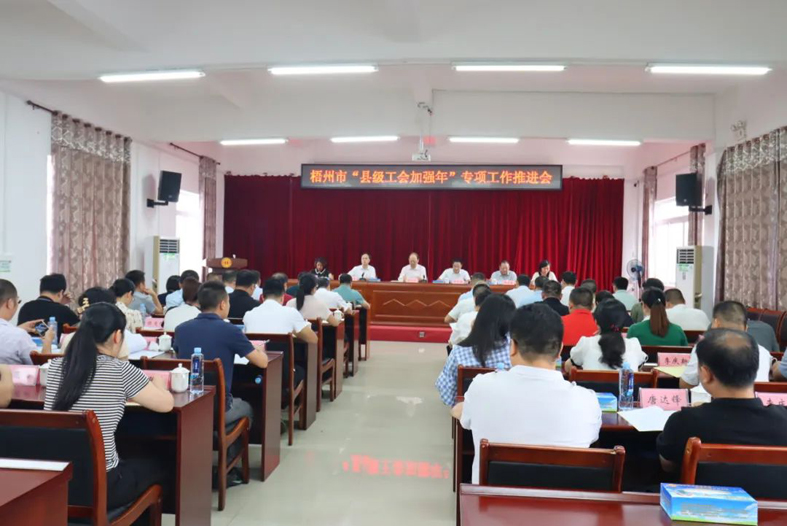 梧州市召開“縣級工會加強年”專項工作推進會