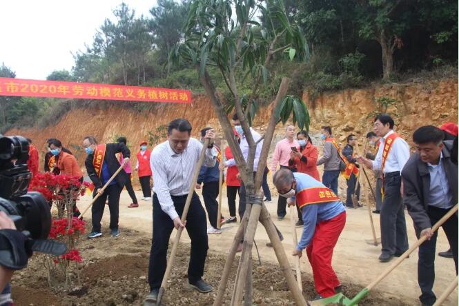 植樹造林，這群楷模這樣做