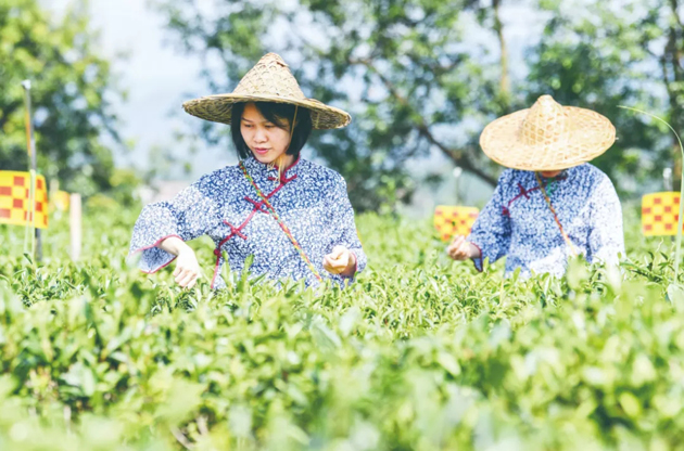 國家批復(fù)同意，梧州籌建！