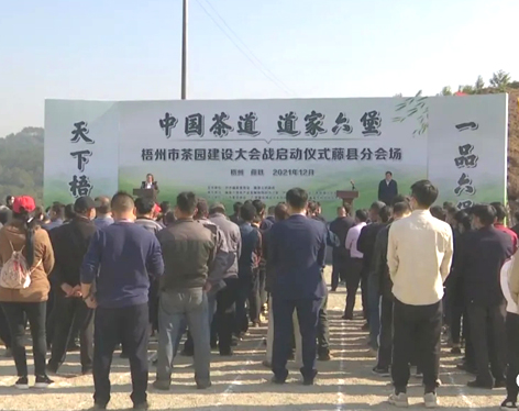 我市召開茶產(chǎn)業(yè)發(fā)展大會(huì)茶園建設(shè)現(xiàn)場(chǎng)會(huì) 吹響建設(shè)百萬畝茶園沖鋒號(hào)角