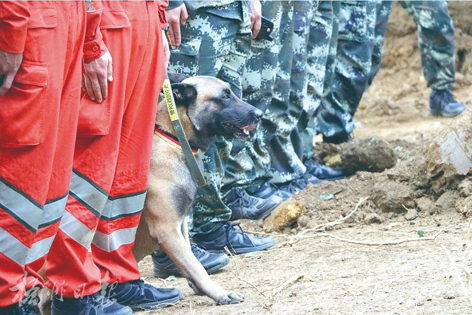 消防、武警、摩托車運輸隊等多方力量聯(lián)合搜救｜東航客機墜毀事故救援現(xiàn)場直擊