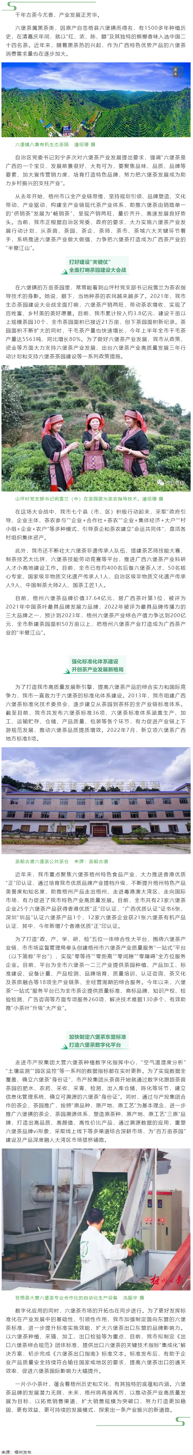 從一片葉子探索產(chǎn)業(yè)振興新路子丨梧州市以全產(chǎn)業(yè)鏈思維推動(dòng)六堡茶產(chǎn)業(yè)發(fā)展.png