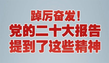 【黨的二十大】踔厲奮發(fā)！黨的二十大報(bào)告提到了這些精神