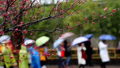 今日雨水！別忘了咱的老講究！