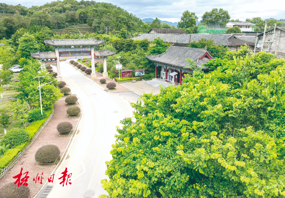 梧州全市生態(tài)茶園面積達(dá)33.34萬畝！