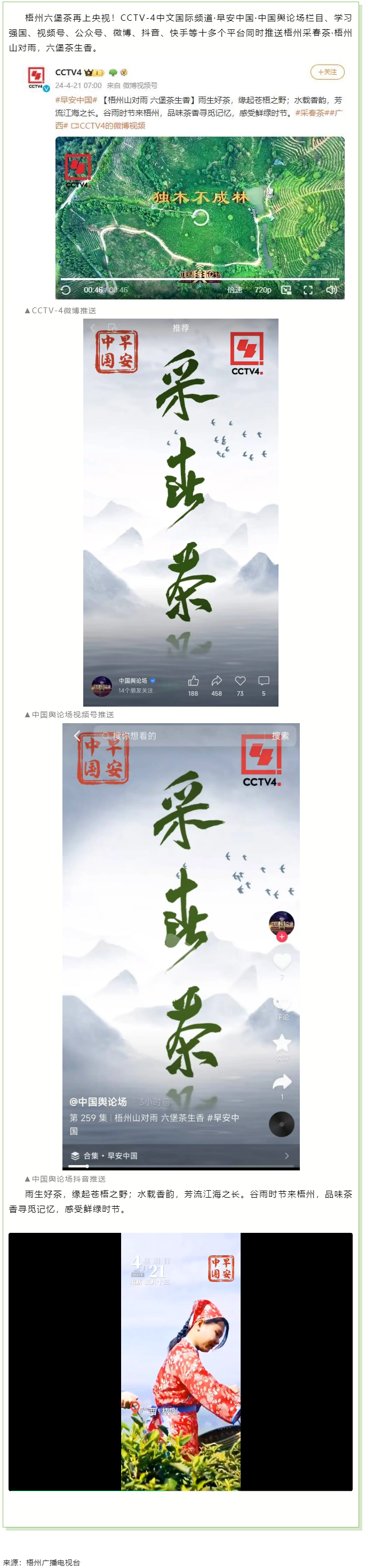 央視、學習強國等十多個平臺同時推送梧州采春茶·梧州六堡茶.png