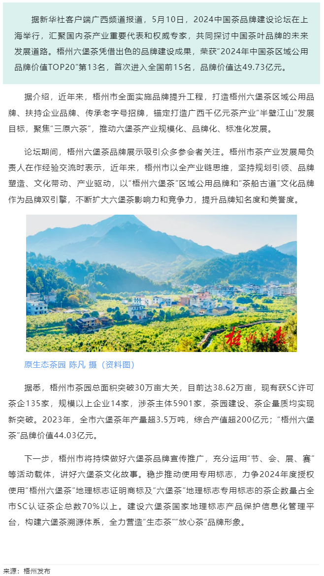 排名全國第13名！“梧州六堡茶”品牌價值實現(xiàn)新突破.png