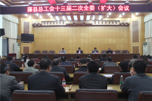 圖為藤縣總工會十三屆二次全委(擴大)會議會場 張賢武攝影.JPG