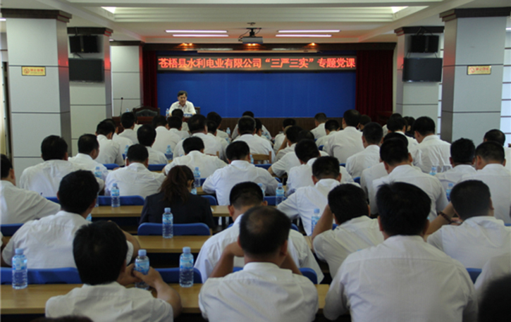 蒼梧縣水利電業(yè)有限公司開展 “三嚴三實”專題教育黨課